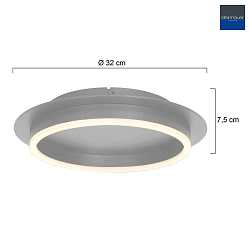 LED Deckenleuchte RINGLUX Ø 32cm, 20W, 2700K, 2000lm, IP20, CRI>90, dimmbar, silber