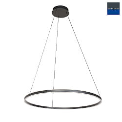 Luminaire  suspension RINGLUX haut bas IP20, noir gradable