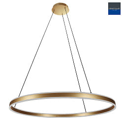 Luminaire  suspension RINGLUX haut bas IP20, or gradable
