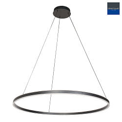 Luminaire  suspension RINGLUX haut bas IP20, noir gradable