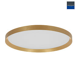 ceiling luminaire FLADY up / down IP20, gold dimmable