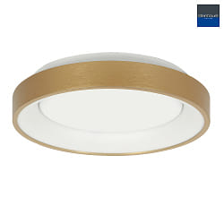 ceiling luminaire RINGLEDE IP20, gold dimmable