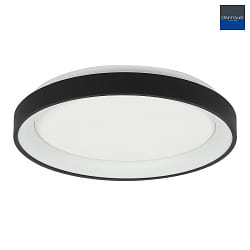 ceiling luminaire RINGLEDE IP20, black dimmable