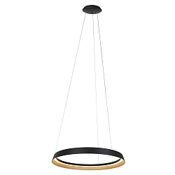 pendant luminaire RINGLUX IP20, black dimmable