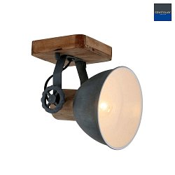 Luminaire de plafond GEARWOOD  1 flamme, rglable E27 IP20, gris, mat gradable