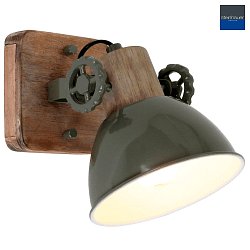 Plafoniera GEARWOOD 1-Lampadina, regolabile E27 IP20, Verde, Lucido dimmerabile