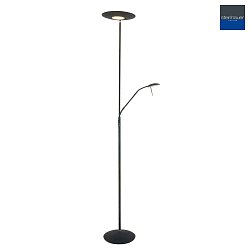 Plafonnier  ZODIAC avec bras flexible, avec spot LED, rglable, direct / indirect IP20, noir mat gradable