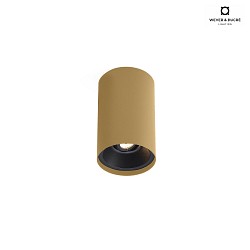 ceiling luminaire SOLID PETIT 2.0 cylindrical, cardanic swivelling IP20, champagner dimmable