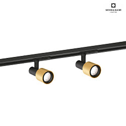 LED 1-Phasen-Schienenstrahler SARA 1.0, 8W 3000K, dimmbar, schwarz-gold