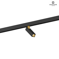 LED Schienenstrahler MICK ON TRACK 1.0 fr STREX SYSTEM 48V, 9.5W 3000K, CRi >90, schwarz-gold