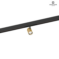 LED Track spot CENO ON TRACK 1.0 for STREX SYSTEM 48V, 3000K, not dimmable, black gold