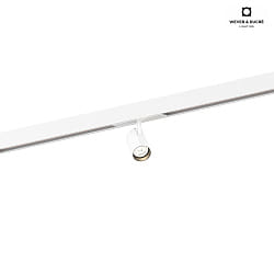 LED Track spot CENO ON TRACK 1.0 for STREX SYSTEM 48V, 2700K, not dimmable, white