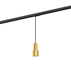 1-Phasen Pendelleuchte ODREY ON TRACK 1.1 PAR16, GU10, IP20, gold