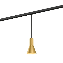 1-Phasen Pendelleuchte ODREY ON TRACK 1.3 PAR16, GU10, IP20, gold