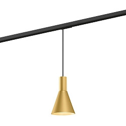 1-Phasen Pendelleuchte ODREY ON TRACK 1.4 PAR16, GU10, IP20, gold