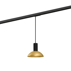 1-Phasen Pendelleuchte ODREY ON TRACK 1.7 PAR16, GU10, IP20, schwarz/gold