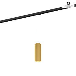 Pendant luminaire HEXO 2.0 PAR16 for 1-phase tracks, GU10 max. 12W, gold
