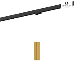 3-Phasen Pendelleuchte RAY on track 2.0 - PAR16, 20cm / 250cm, zylindrisch, GU10 max. 12W, inkl. Adapter, gold