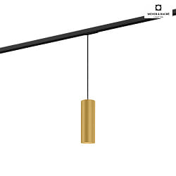 Pendant luminaire RAY 2.0 PAR 16 for 1-phase tracks, GU10 max. 12W, gold