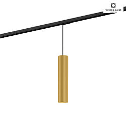 Pendant luminaire RAY 3.0 PAR 16 for 1-phase tracks, GU10 max. 12W, gold