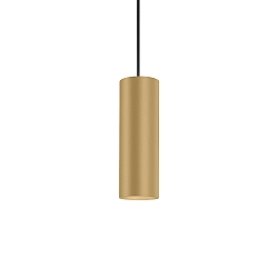 pendant luminaire RAY CEILING SUSP 2.0 PAR16 IP20, champagner 