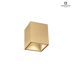 downlight BOX MINI 1.0 square, surface-mounted version IP20, champagner dimmable