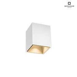 downlight BOX MINI 1.0 square, surface-mounted version IP20, champagner dimmable