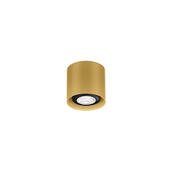 spot RAY MINI CEILING SURF 1.0 PAR16 GU10 IP20, gold 