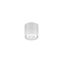 spot RAY MINI CEILING SURF 1.0 PAR16 GU10 IP20, white matt 