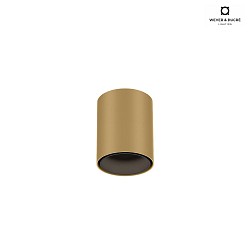 Downlight RAY MINI 1.0 Bas, cylindrique, version pour montage en surface IP20, champagne gradable