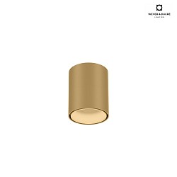 Downlight RAY MINI 1.0 Bas, cylindrique, version pour montage en surface IP20, champagne gradable