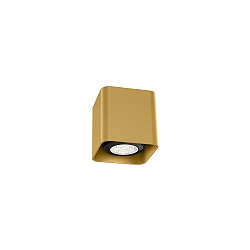 spot DOCUS MINI CEILING SURF 1.0 PAR16 GU10 IP20, gold 