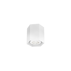 Deckenaufbaudownlight HEXO MINI 1.0 PAR16, GU10, IP20, ohne Reflektor, wei�
