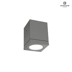 Outdoor LED Deckenleuchte TUBE 1.0, IP65, 8W 3000K 38, CRi >90, dimmbar, dunkelgrau