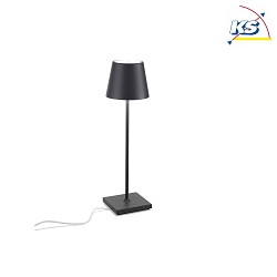 Lampada da tavolo  POLDINA PRO CCT Switch IP65, Grigio scuro dimmerabile