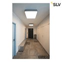 SLV Plafoniera MEDO 60 SQUARE piazza IP20, argento dimmerabile