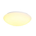 LED Outdoor Wall and Ceiling luminaire LIPSY 50 Dome, IP44, 3000/4000K,  40cm, 21W, white