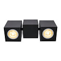 SLV Luminaire de plafond ALTRA DICE II  2 flammes, rotatif GU10 IP20, noir  gradable