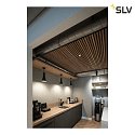 SLV Luminaire triphasé NUMINOS DALI M, noir 