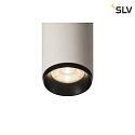 SLV Plafoniera NUMINOS SPOT DALI M controllabile da DALI IP20, nero, bianco dimmerabile
