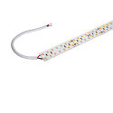 LED Strip GRAZIA PRO MAX FLEXSTRIP, 212,3W, 24V, 20mm, 5m, 4000lm/m, IP20, 3000K