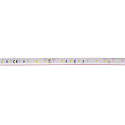 SLV LED Strip GRAZIA IP FLEXSTRIP, 48W, 24V, 700lm/m, IP54, 3000K