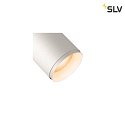 SLV Anello per NUMINOS M Bianco