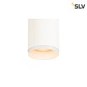 SLV Anello per NUMINOS M Bianco
