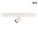 SLV spot NUMINOS® XS TRACK 48V DALI controllable IP20, chrome, white dimmable