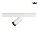 SLV spot NUMINOS® S TRACK 48V DALI controllable IP20, black, white dimmable