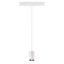 SLV pendant luminaire NUMINOS XS TRACK 48V DALI controllable IP20, chrome, white dimmable