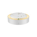SLV wall and ceiling luminaire MEDO PRO 30 round IP50, white dimmable