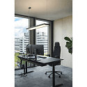 pendant luminaire WORKLIGHT PRO IP20, black dimmable