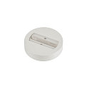 Rosa da soffitto monofase, bianco